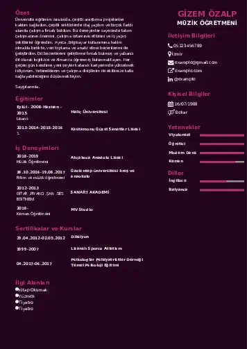 Müzik Öğretmeni Cv Örnekleri cv indir
